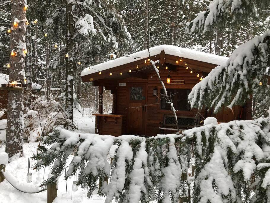 Fancy Fireflies Cabin 헤이워드 외부 사진