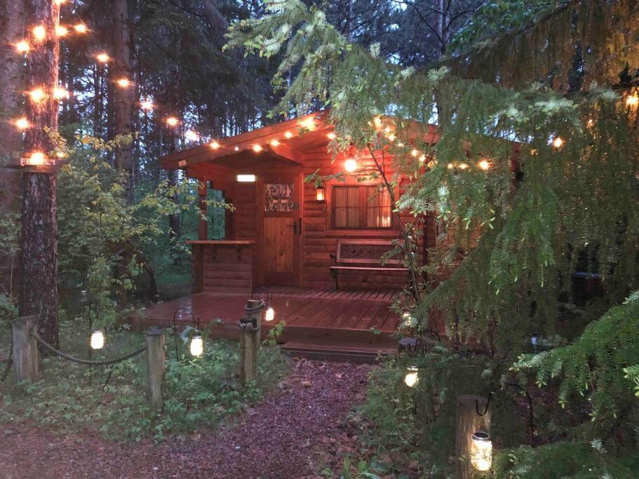 Fancy Fireflies Cabin 헤이워드 외부 사진